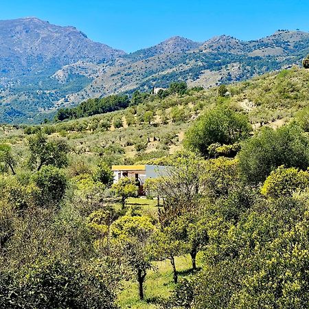 卡萨拉博内拉Finca Martina公寓 外观 照片